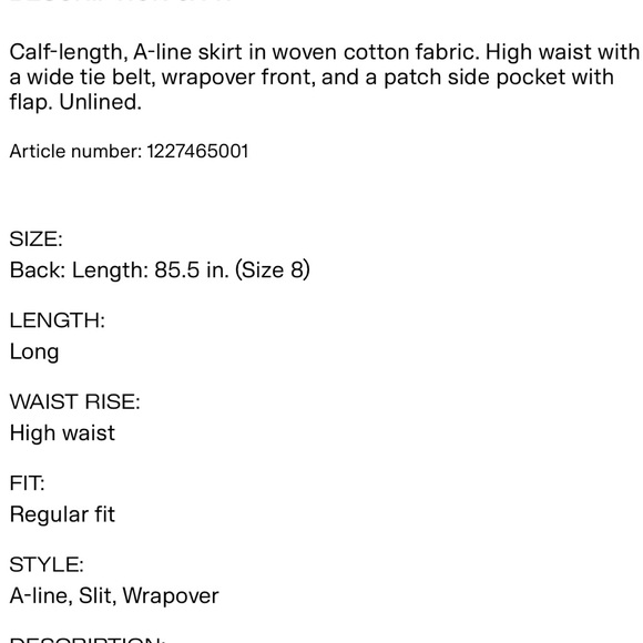 H&M skirt - Picture 7 of 11